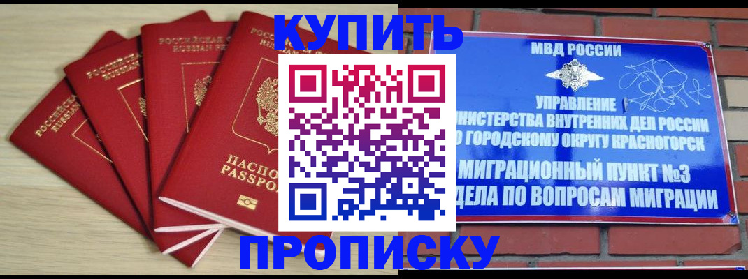 временная регистрация для всех в Тереке